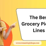 The Best Grocery Pickup Lines