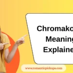 Chromakopia Meaning Explained