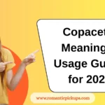 Copacetic Meaning & Usage Guide for 2026
