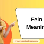 Fein Meaning