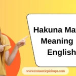Hakuna Matata Meaning in English