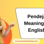 Pendeja Meaning in English