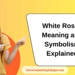 White Roses Meaning and Symbolism Explained