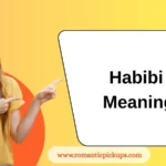 Habibi Meaning