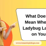 What Does It Mean When a Ladybug Lands on You