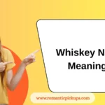 Whiskey Neat Meaning