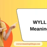 WYLL Meaning
