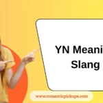 YN Meaning Slang