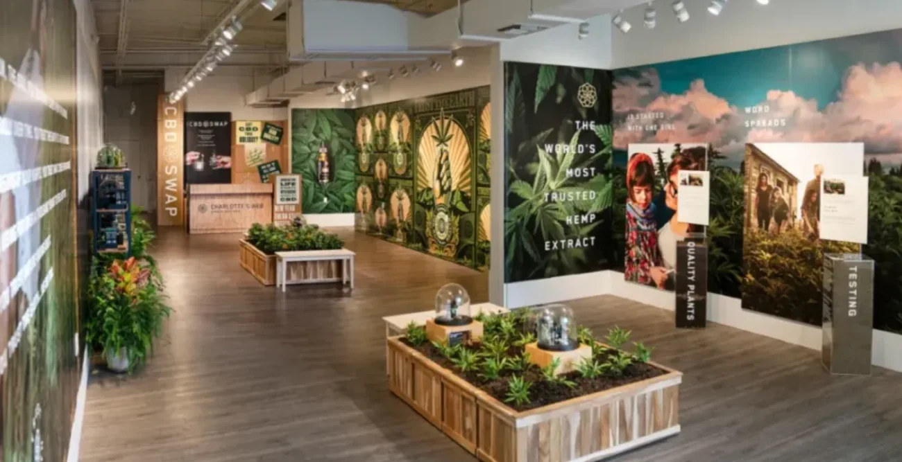 How an Online Hemp Marketplace Shop Makes Product Comparison Easier for First-Time Buyers