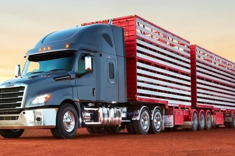 The Evolution and Essential Role of Work Trucks in Modern Industry 